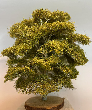 Laubbaum Birke 1 klein