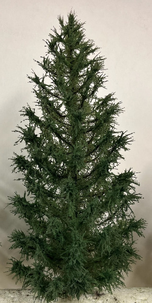 Nadelbaum 1 klein